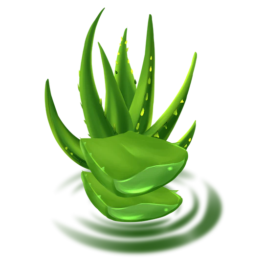 Neelambari Hakki Pikki Adivasi Hair Oil 250ml