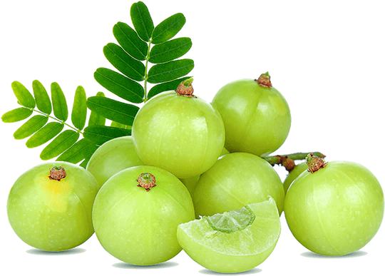 Neelambari Hakki Pikki Adivasi Hair Oil 250ml